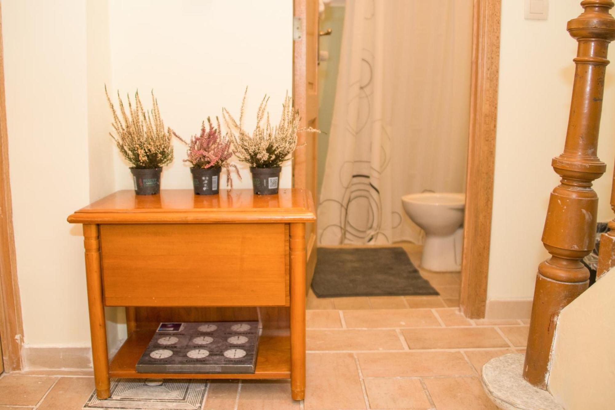 Archimede Guest House บรัสเซลส์ ห้อง รูปภาพ